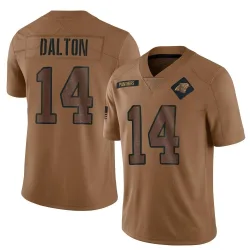 Andy Dalton Carolina Panthers Limited Men's 2023 Salute To Service Jersey (Brown)