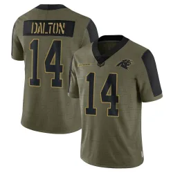 Andy Dalton Carolina Panthers Limited Youth 2021 Salute To Service Jersey (Olive)
