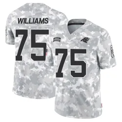 DeShawn Williams Carolina Panthers Limited Men's 2024 Salute to Service Jersey (Arctic Camo)
