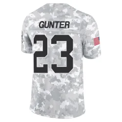 LaDarius Gunter Carolina Panthers Limited Men's Ladarius Gunter 2024 Salute to Service Jersey (Arctic Camo)