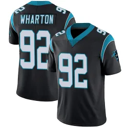 Tershawn Wharton Carolina Panthers Limited Youth Team Color Vapor Untouchable Jersey (Black)